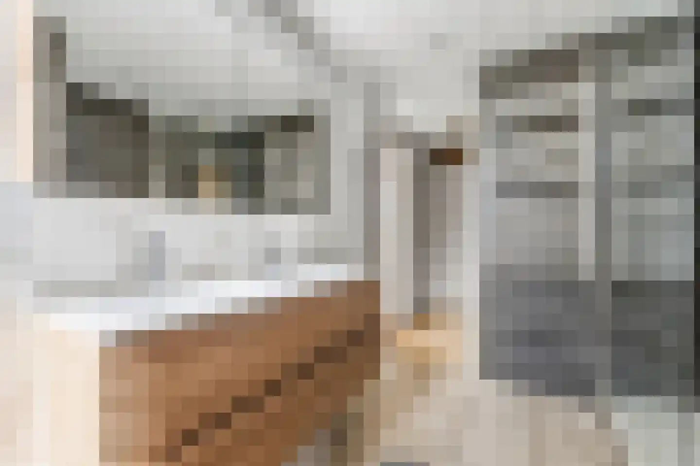 De Hooghkamer 3 Voorschoten thumbnail 43