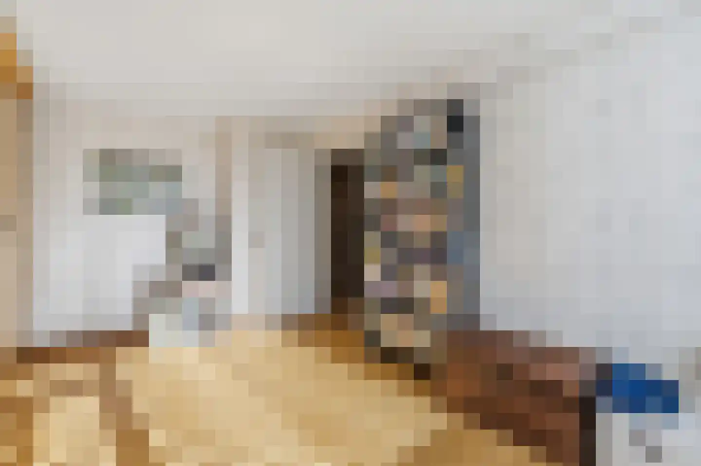 De Hooghkamer 3 Voorschoten thumbnail 48