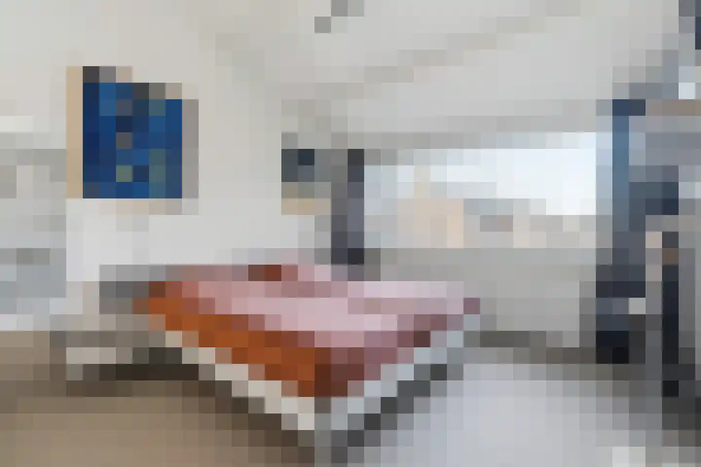 De Hooghkamer 3 Voorschoten thumbnail 49
