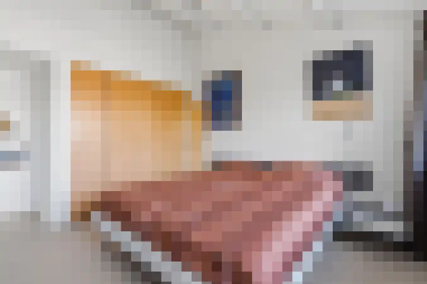 De Hooghkamer 3 Voorschoten thumbnail 50
