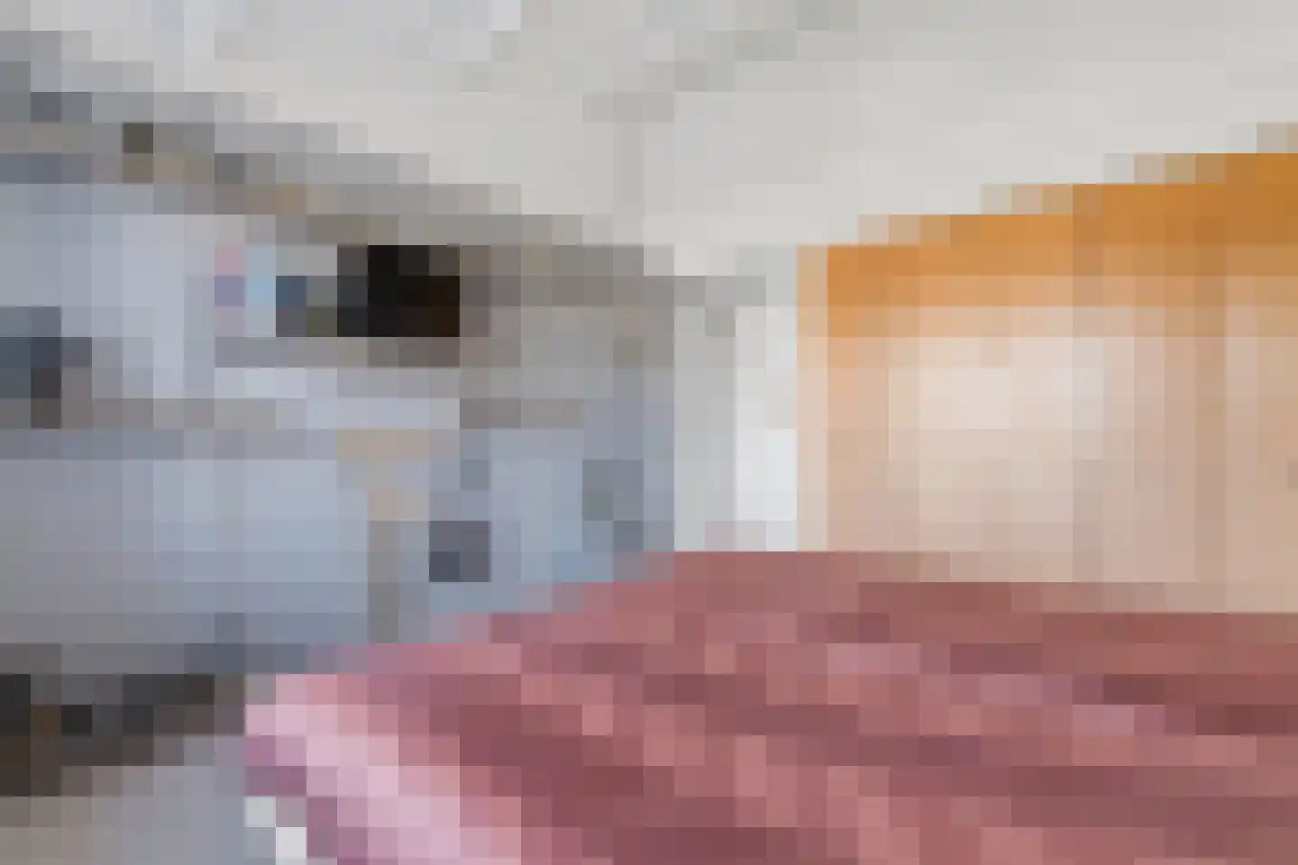 De Hooghkamer 3 Voorschoten thumbnail 51