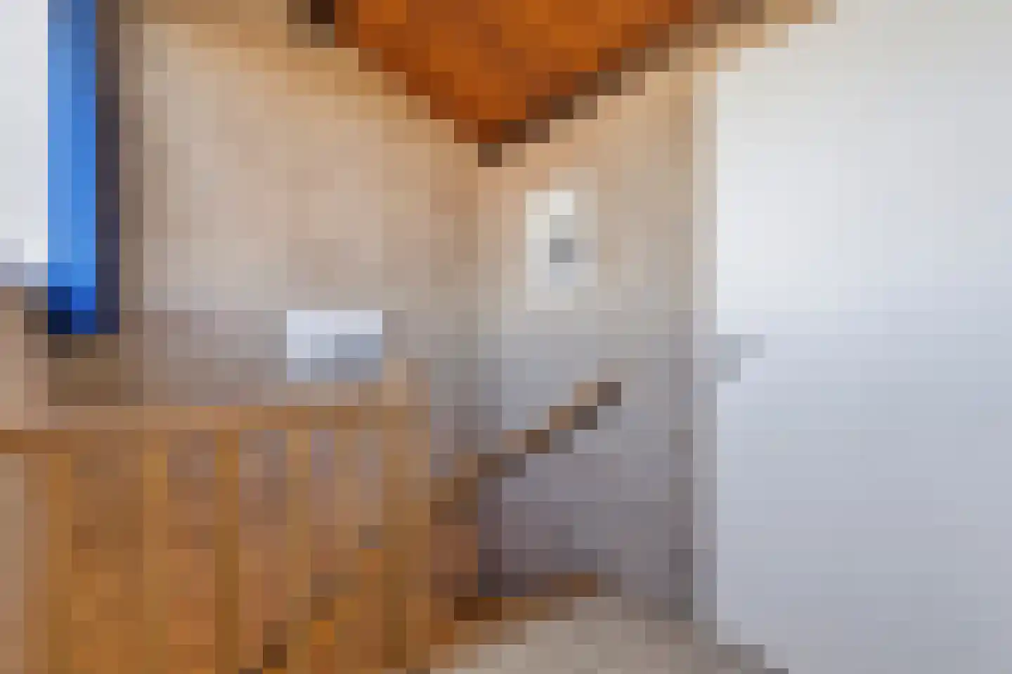 De Hooghkamer 3 Voorschoten thumbnail 56