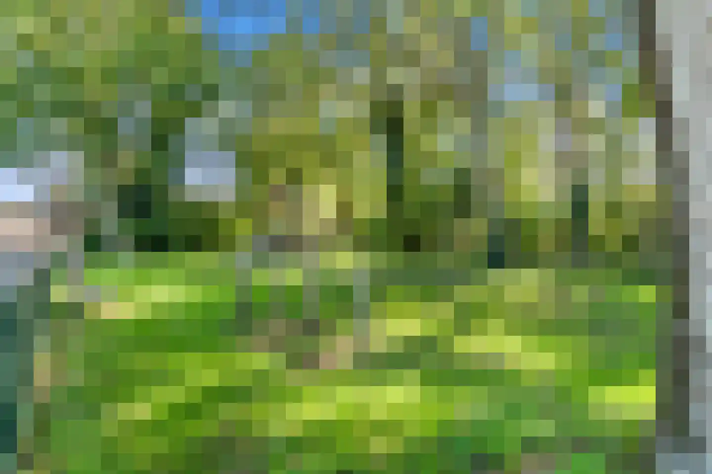 De Hooghkamer 3 Voorschoten thumbnail 64