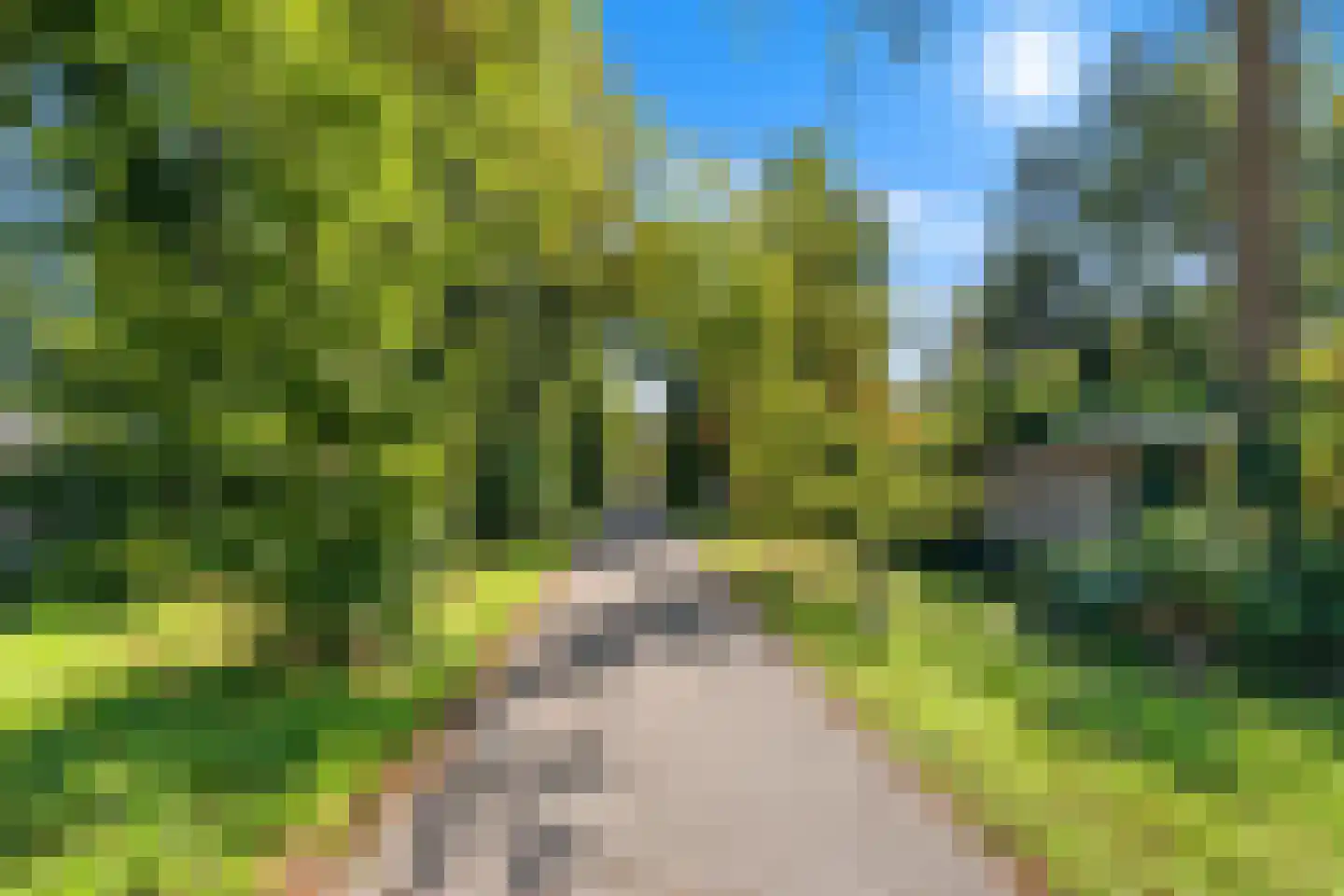 De Hooghkamer 3 Voorschoten thumbnail 65