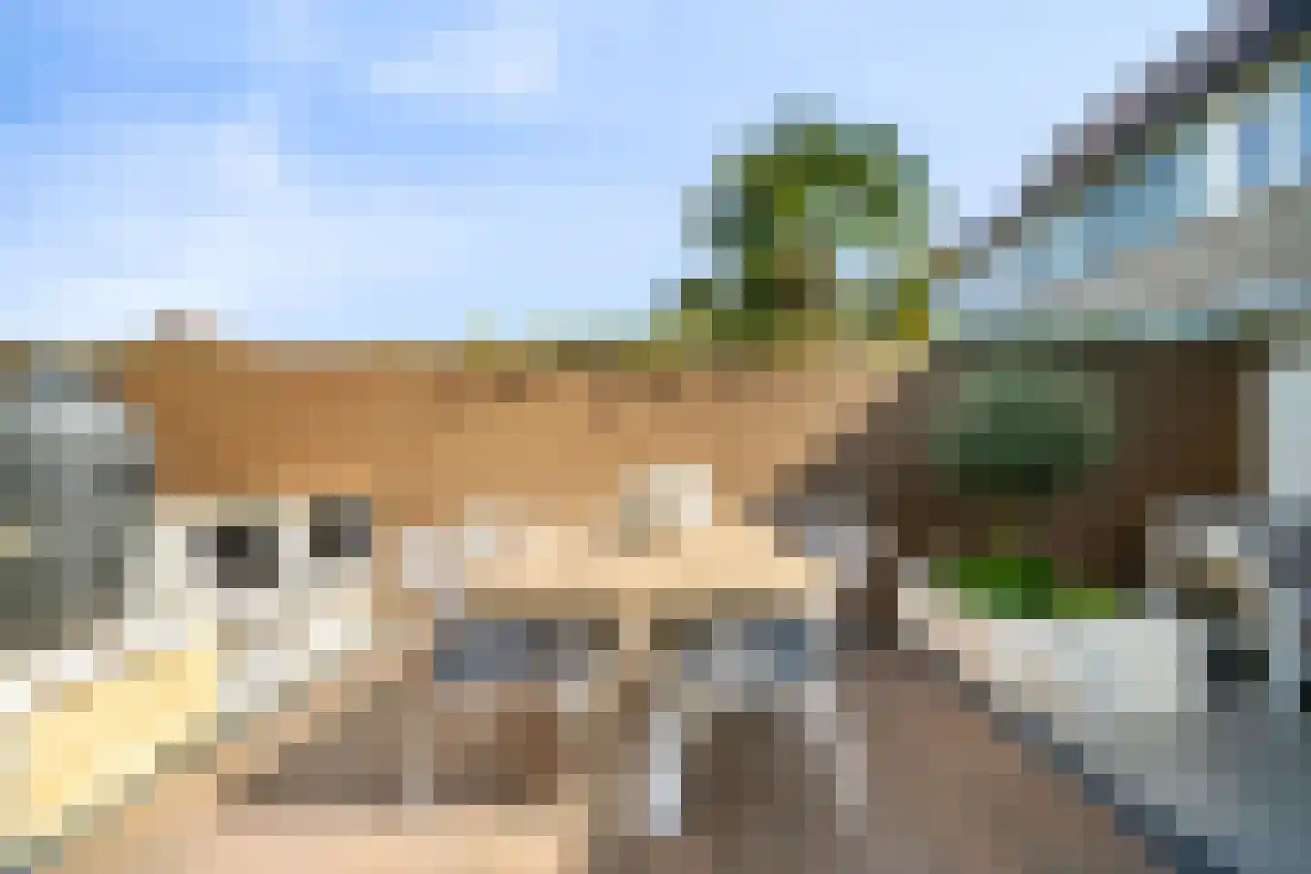 De Hooghkamer 33 Voorschoten thumbnail 16