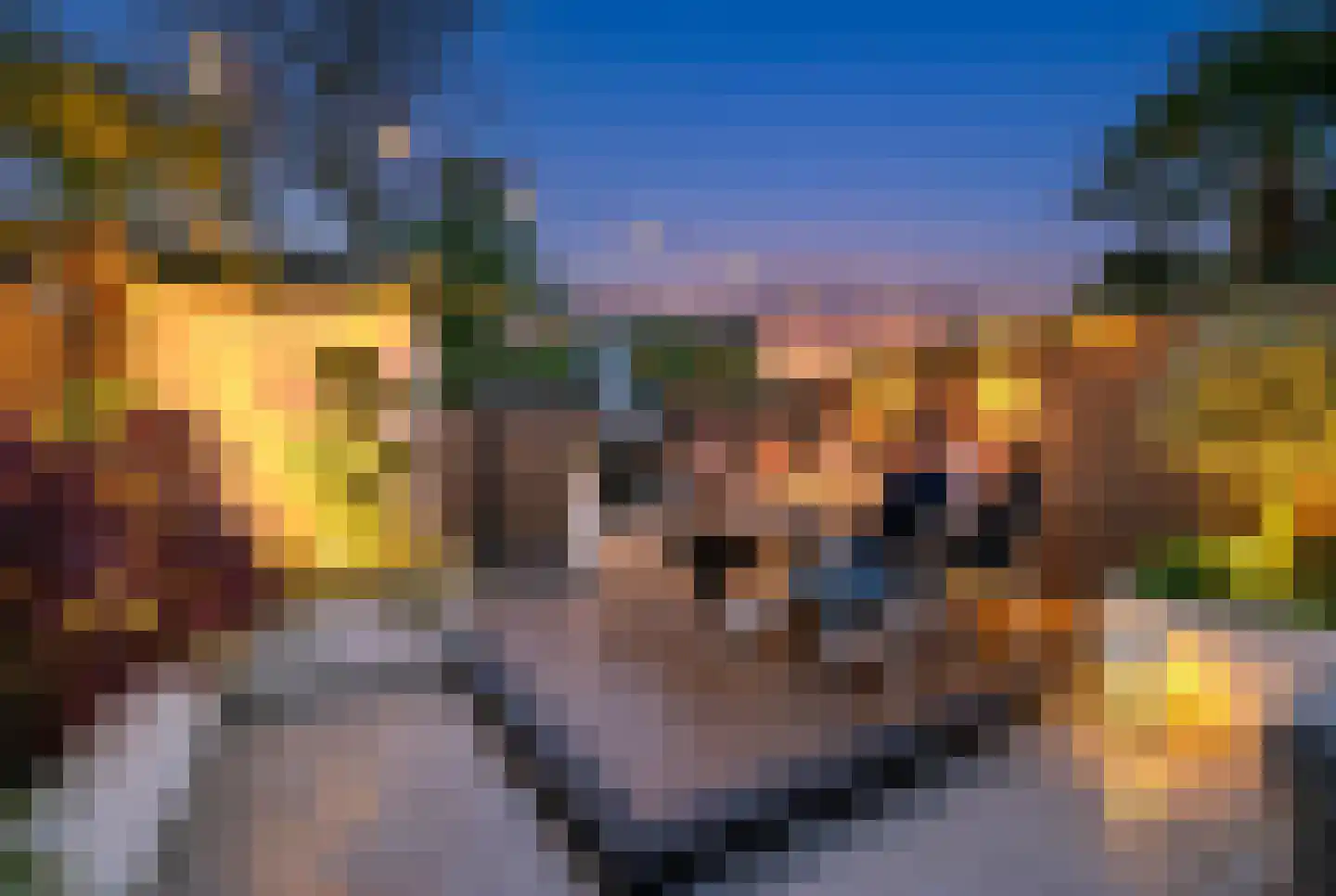 De Hooghkamer 33 Voorschoten thumbnail 18