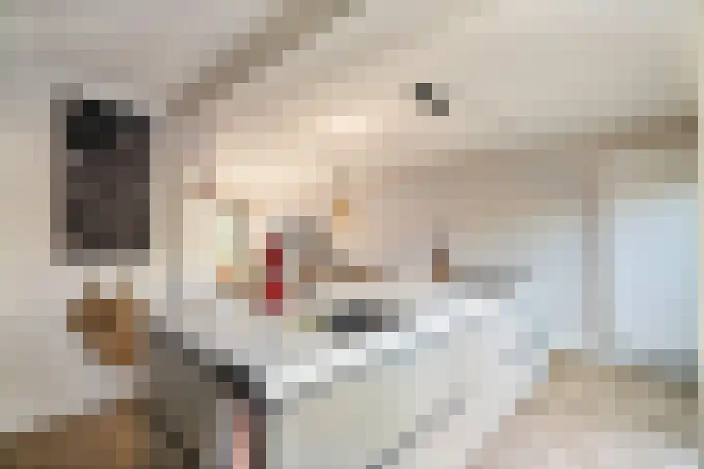De Hooghkamer 33 Voorschoten thumbnail 24