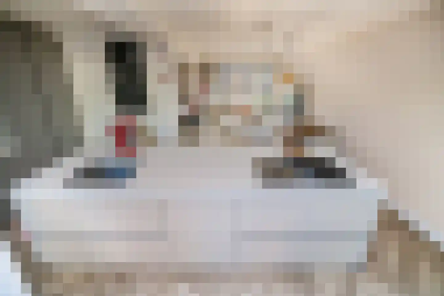 De Hooghkamer 33 Voorschoten thumbnail 25