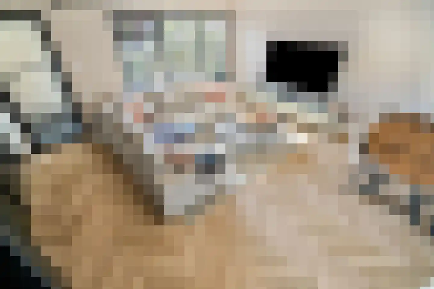 De Hooghkamer 33 Voorschoten thumbnail 27