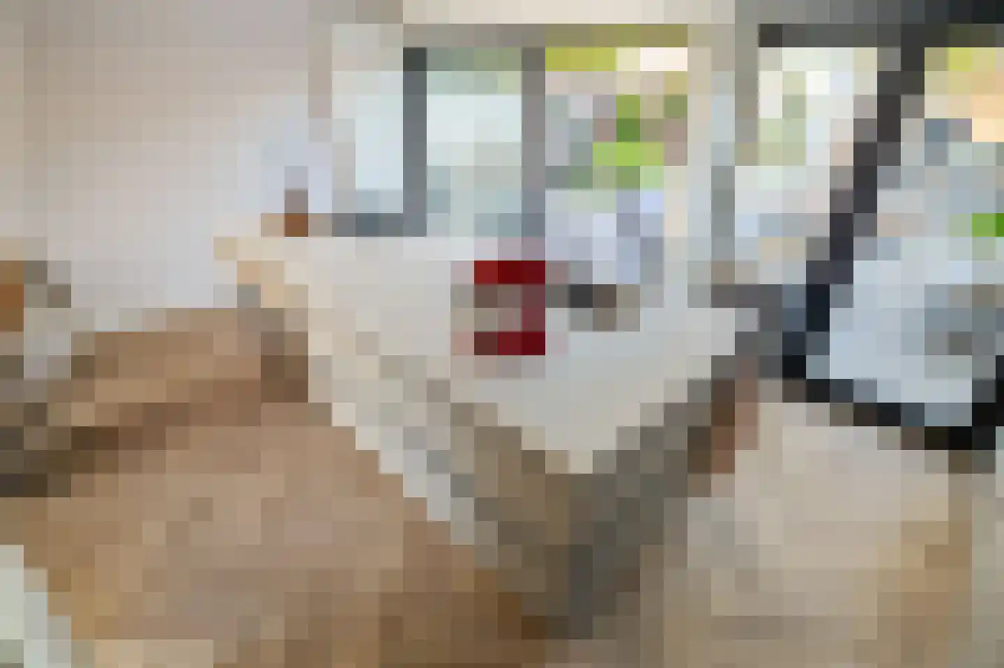 De Hooghkamer 33 Voorschoten foto 3