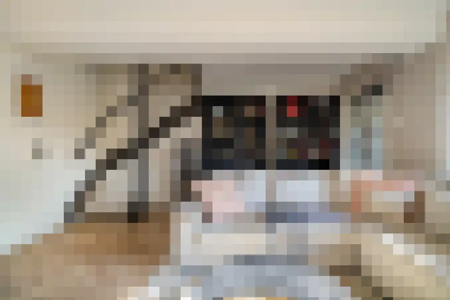 De Hooghkamer 33 Voorschoten thumbnail 33