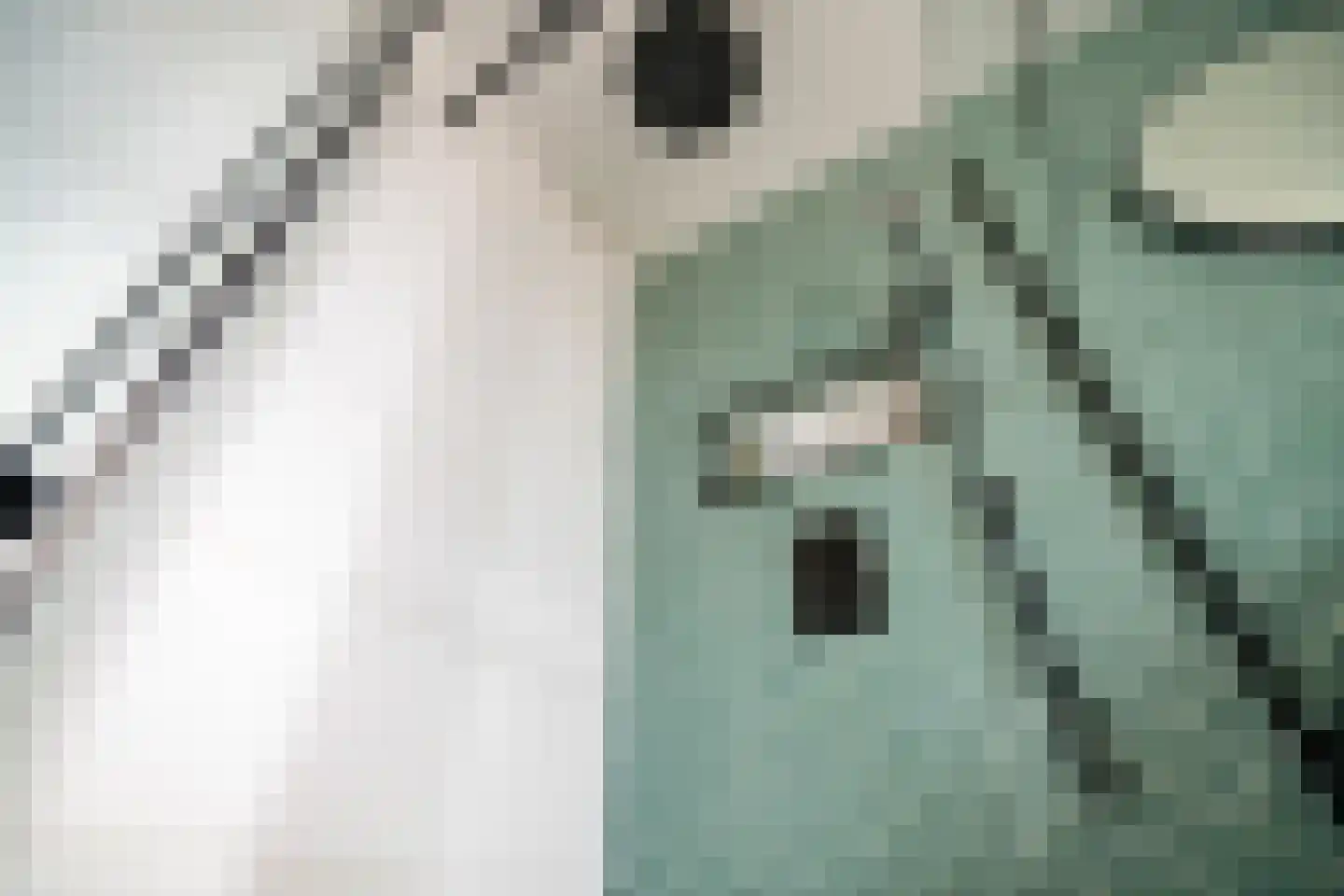 De Hooghkamer 33 Voorschoten thumbnail 39