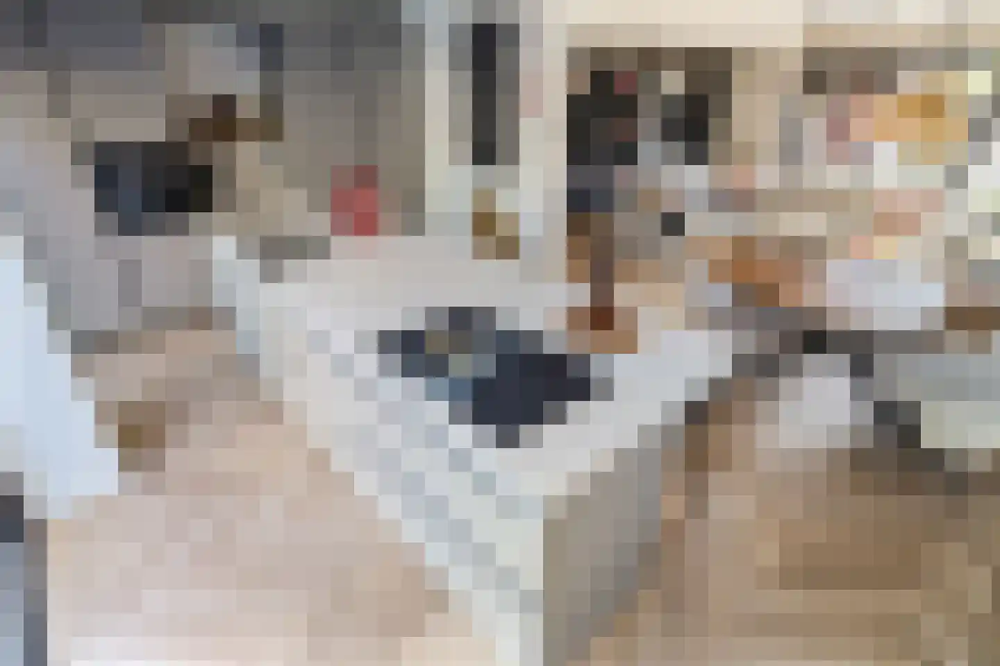 De Hooghkamer 33 Voorschoten thumbnail 4