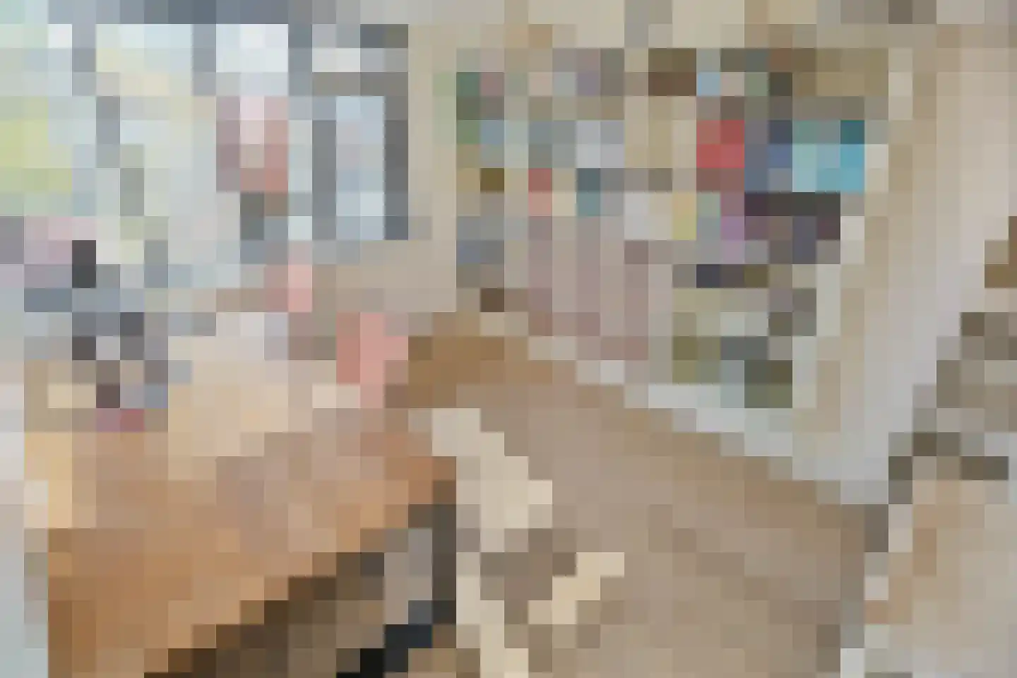 De Hooghkamer 33 Voorschoten thumbnail 48