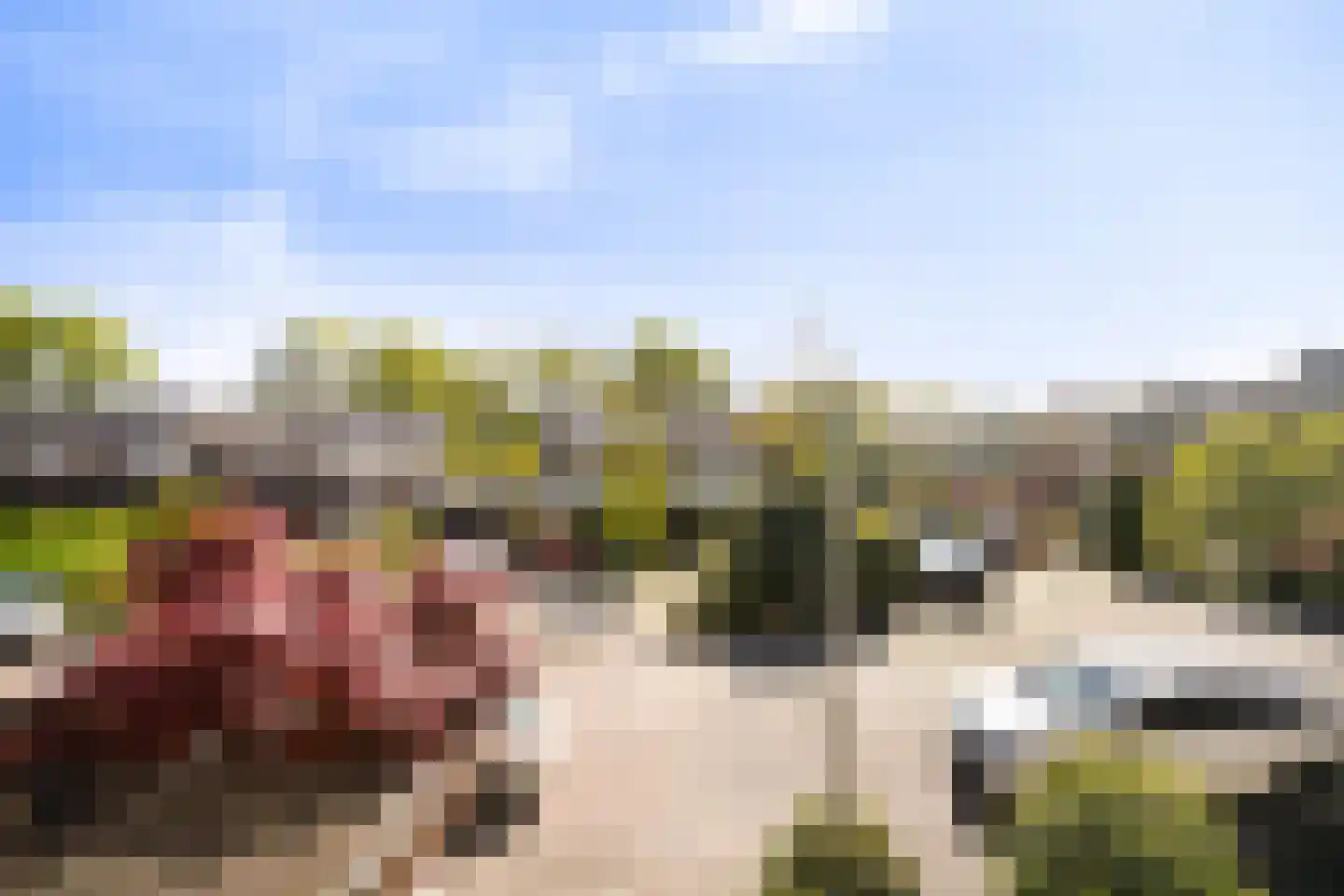 De Hooghkamer 33 Voorschoten thumbnail 49