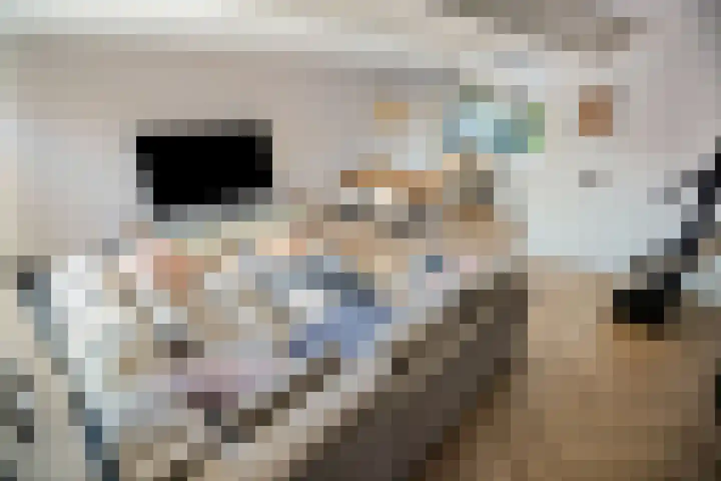 De Hooghkamer 33 Voorschoten thumbnail 5