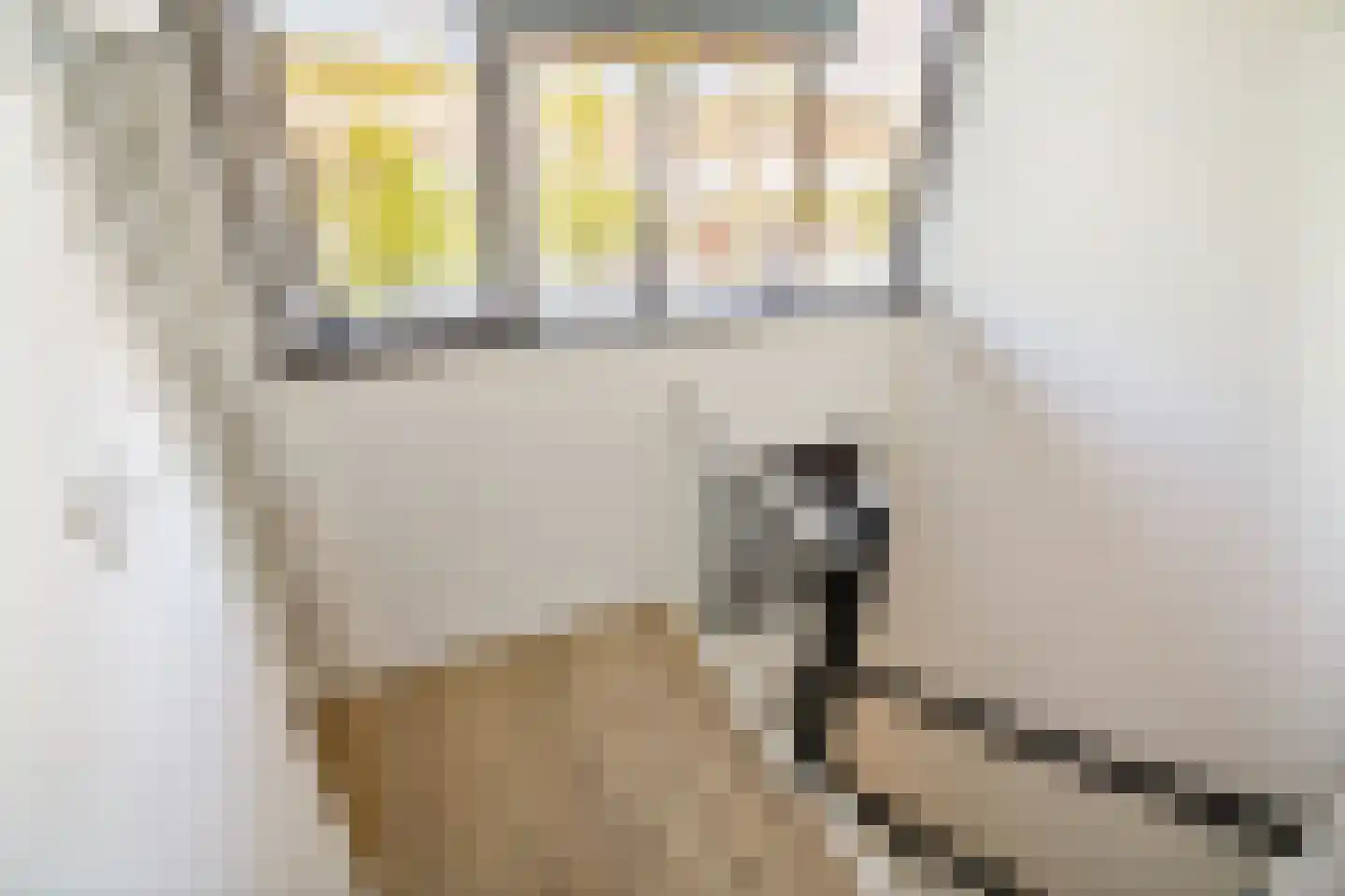 De Hooghkamer 33 Voorschoten thumbnail 52