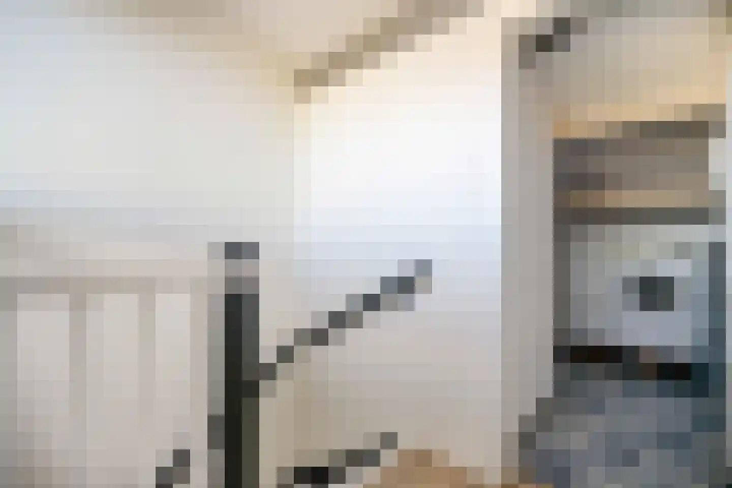 De Hooghkamer 33 Voorschoten thumbnail 54