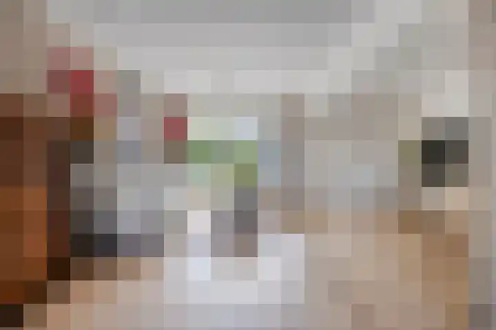 De Hooghkamer 41 Voorschoten thumbnail 12