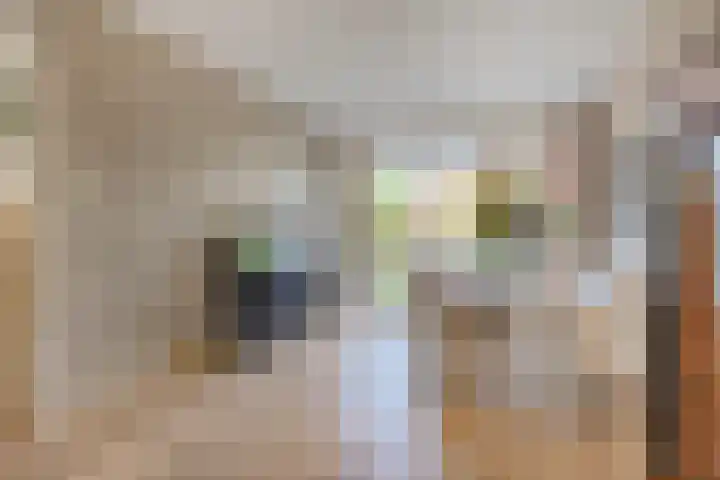 De Hooghkamer 41 Voorschoten thumbnail 15