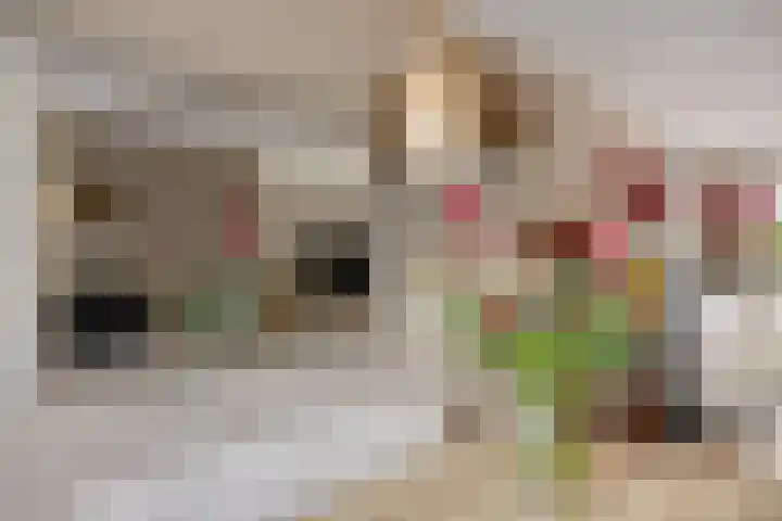 De Hooghkamer 41 Voorschoten thumbnail 17