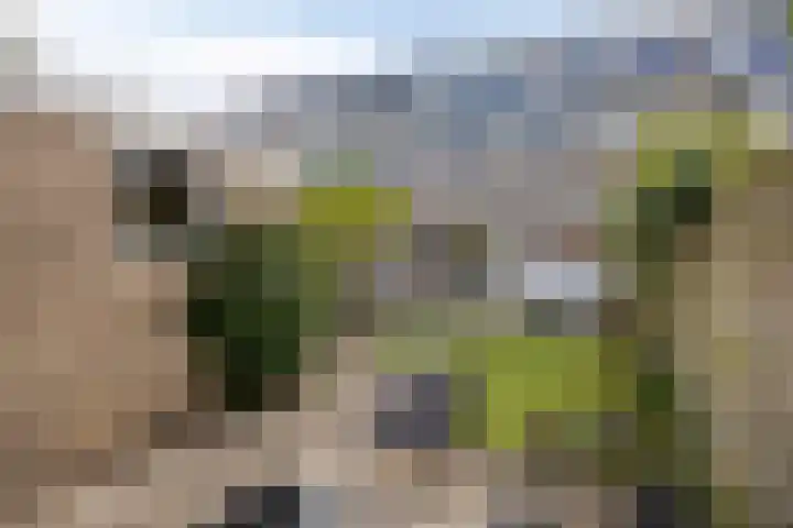 De Hooghkamer 41 Voorschoten thumbnail 27
