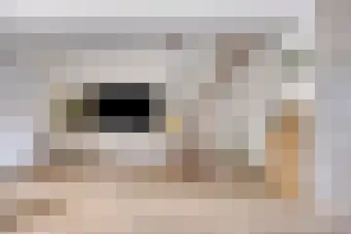 De Hooghkamer 41 Voorschoten thumbnail 30