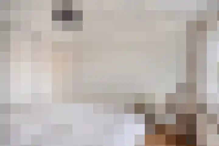De Hooghkamer 41 Voorschoten thumbnail 33