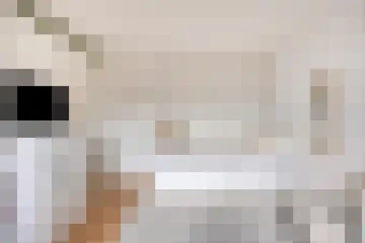 De Hooghkamer 41 Voorschoten thumbnail 38