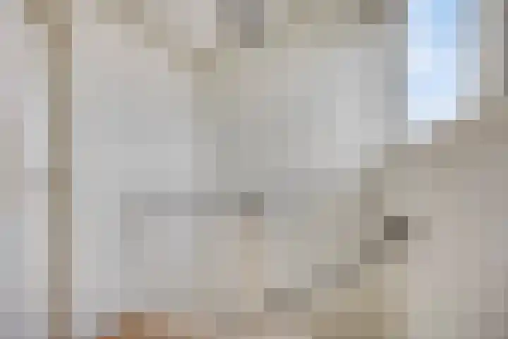 De Hooghkamer 41 Voorschoten thumbnail 42