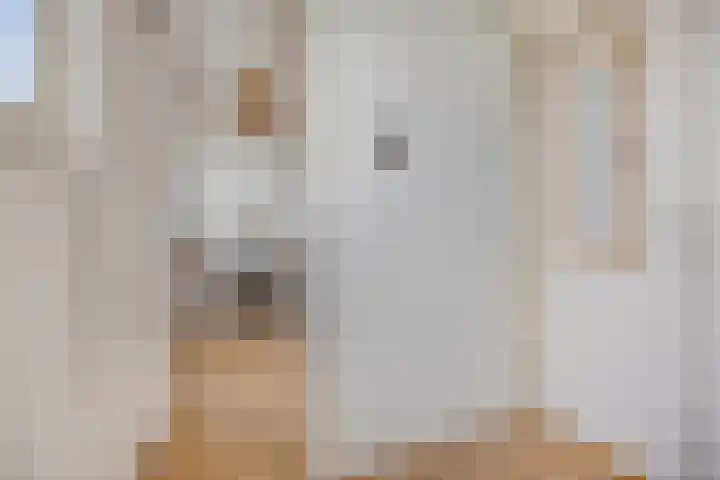 De Hooghkamer 41 Voorschoten thumbnail 43