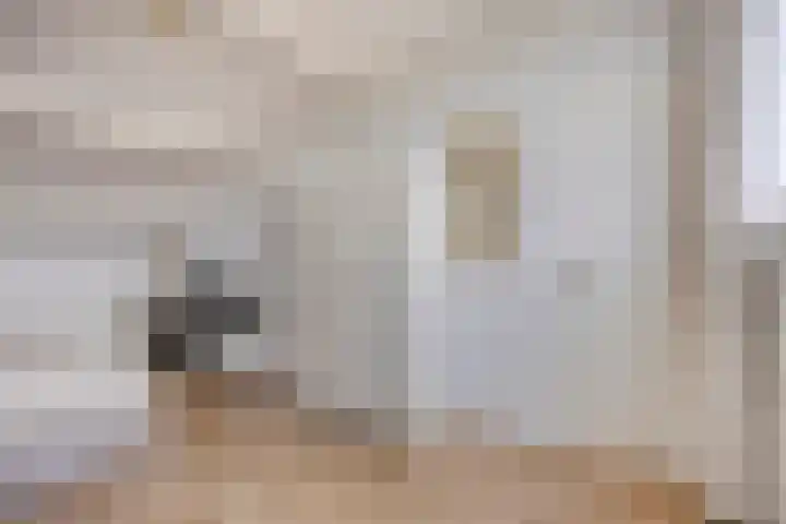 De Hooghkamer 41 Voorschoten thumbnail 46
