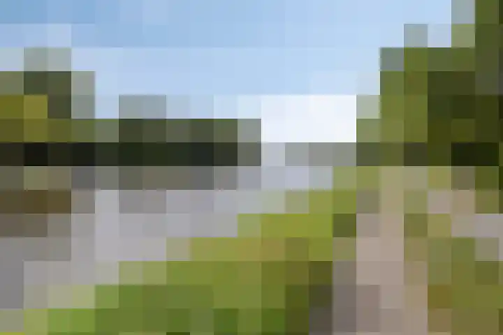 De Hooghkamer 41 Voorschoten thumbnail 49