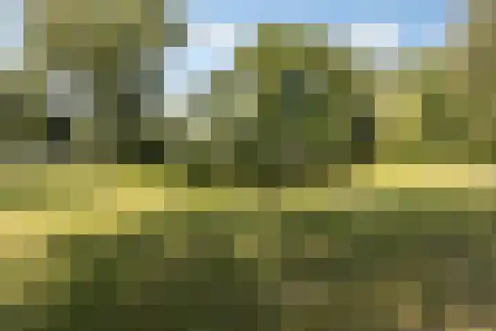De Hooghkamer 41 Voorschoten thumbnail 51