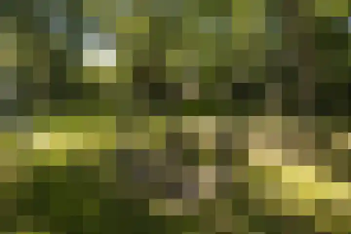 De Hooghkamer 41 Voorschoten thumbnail 52