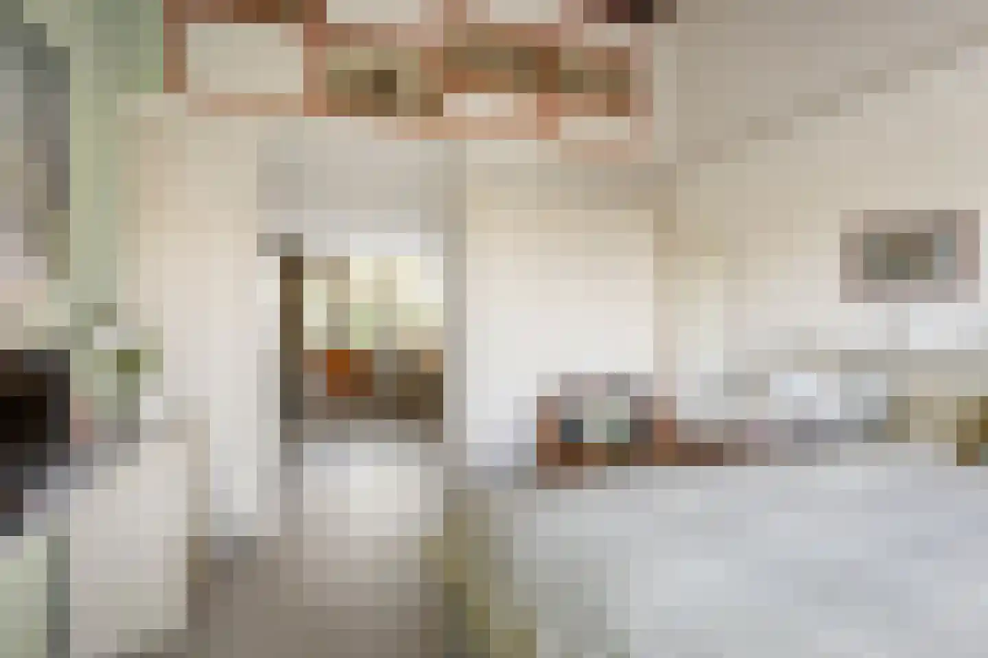 De Hooghkamer 5 Voorschoten thumbnail 19