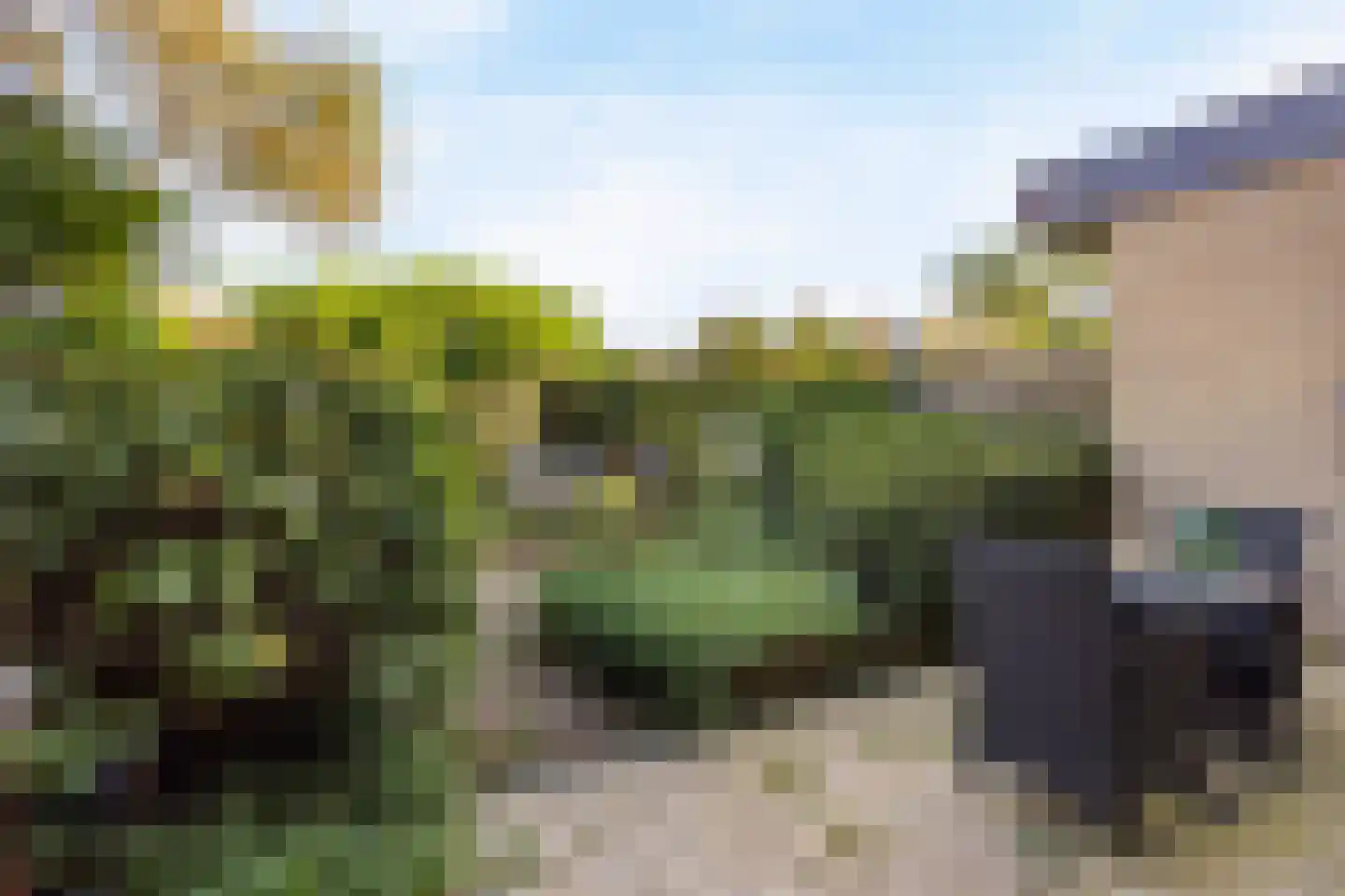 De Hooghkamer 5 Voorschoten thumbnail 29