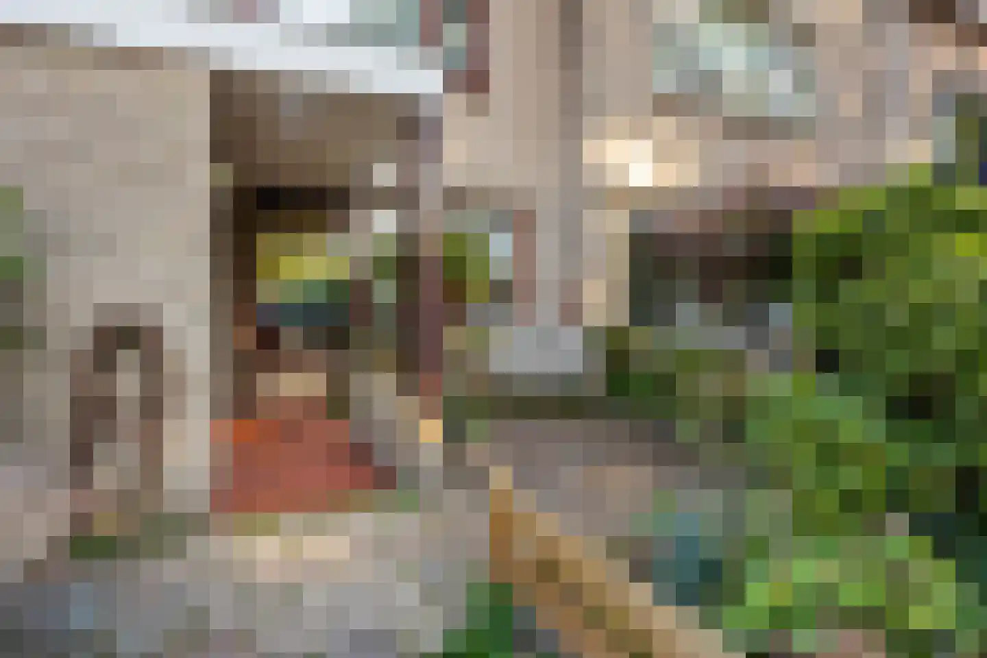 De Hooghkamer 5 Voorschoten foto 3