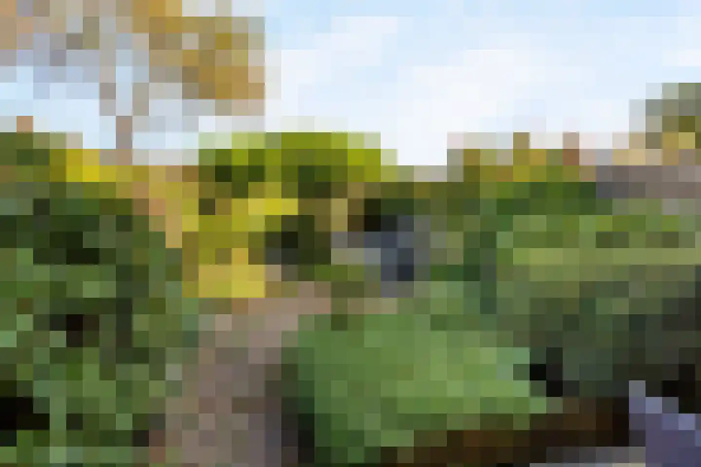 De Hooghkamer 5 Voorschoten thumbnail 30