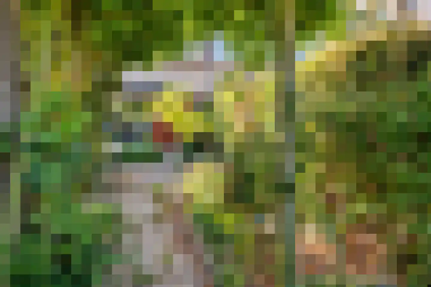 De Hooghkamer 5 Voorschoten thumbnail 32