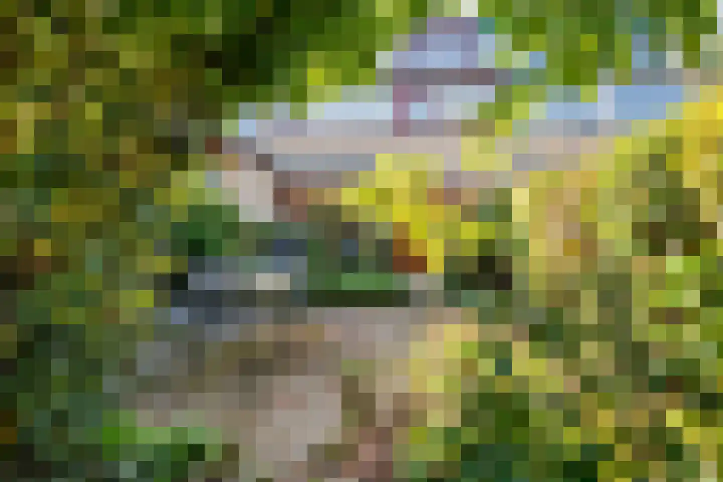 De Hooghkamer 5 Voorschoten thumbnail 33