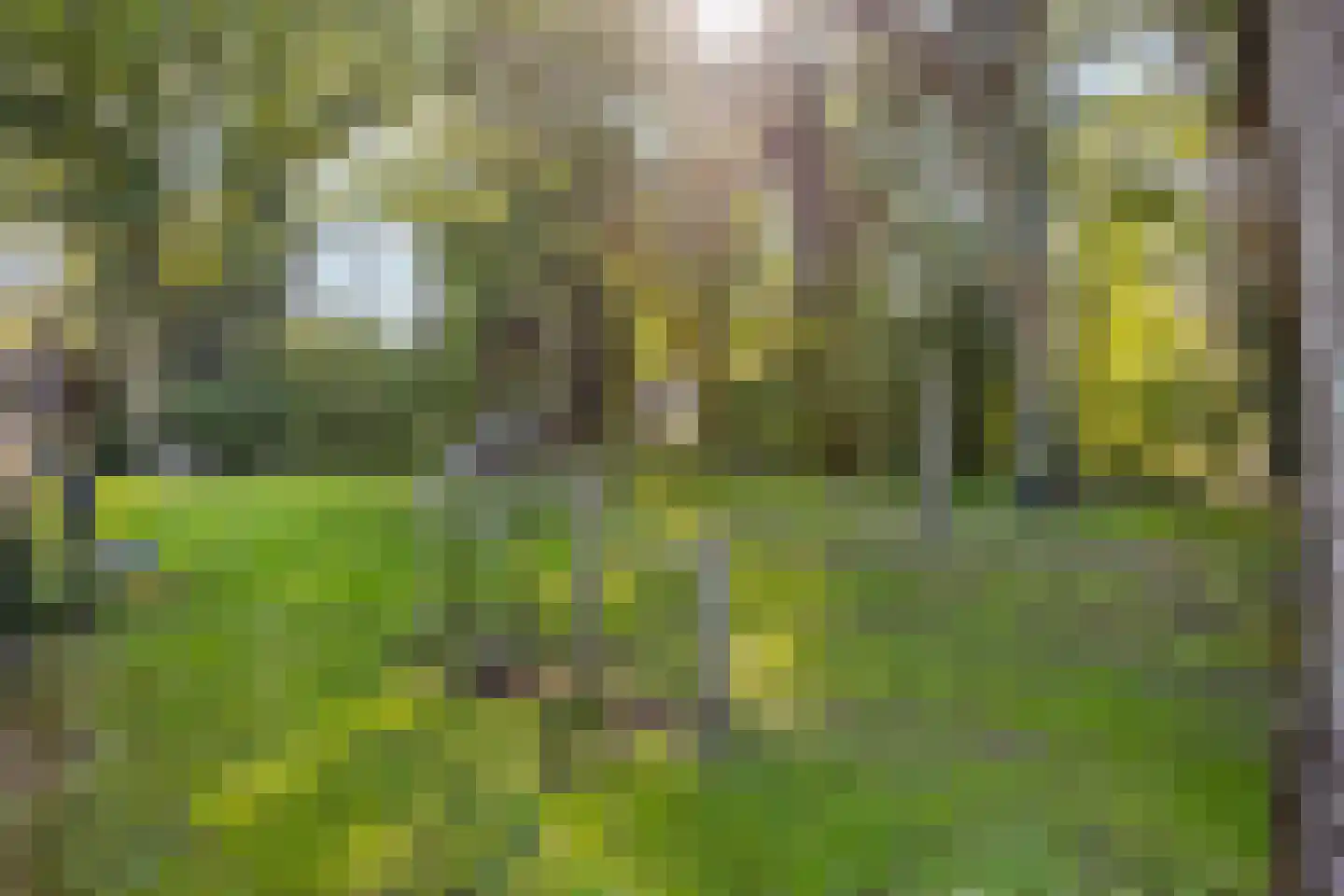 De Hooghkamer 5 Voorschoten thumbnail 39