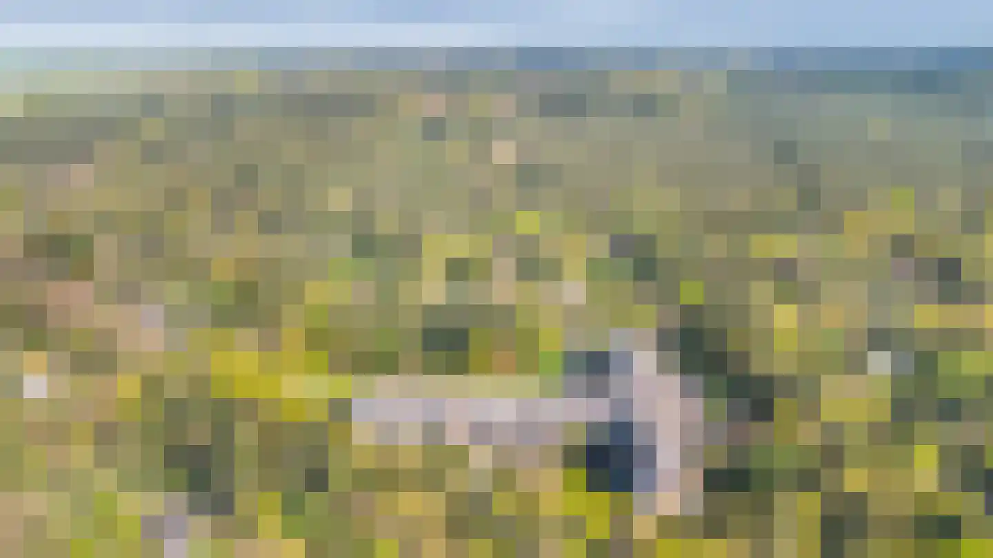 De Hooghlaan 2 D02 Bilthoven thumbnail 32