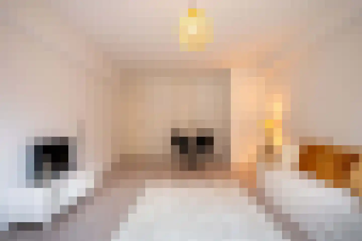 De Hooghlaan 2 D02 Bilthoven thumbnail 6