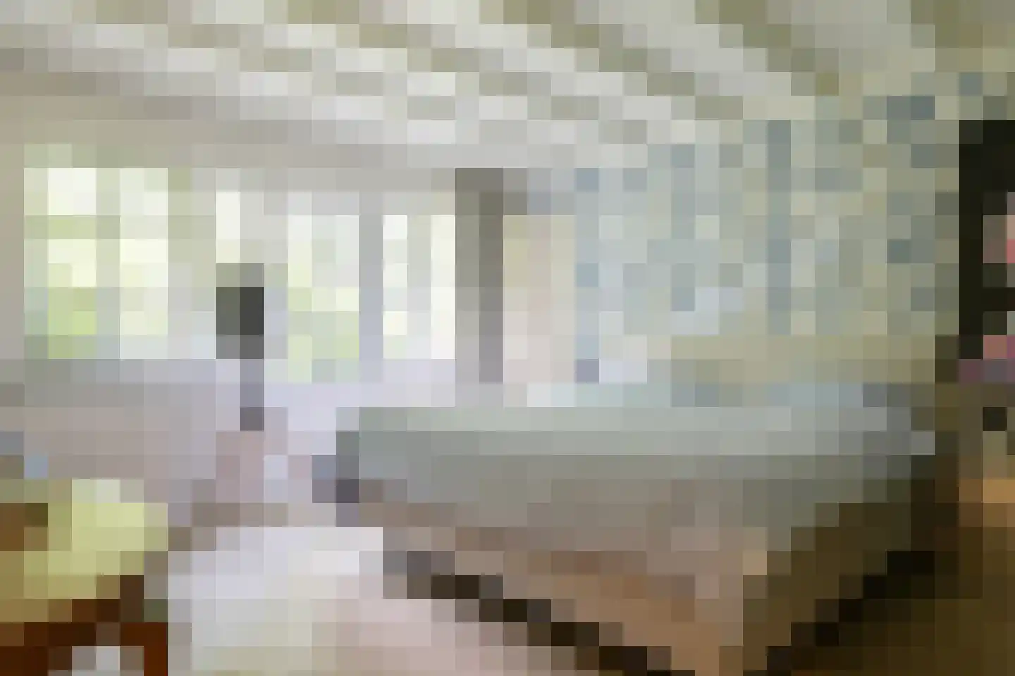 De Hooghlaan 25 Bilthoven thumbnail 34