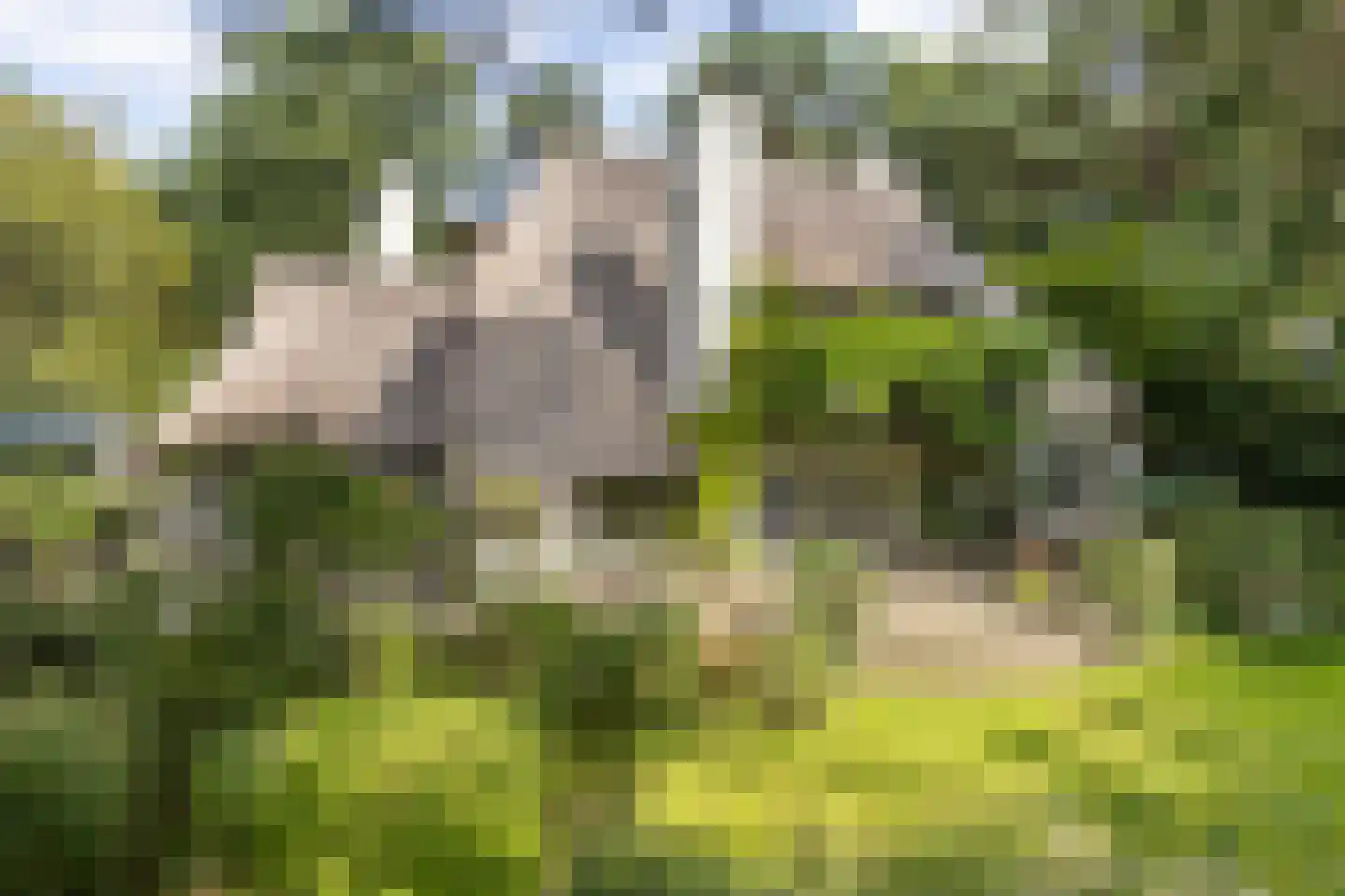 De Hooghlaan 25 Bilthoven thumbnail 4