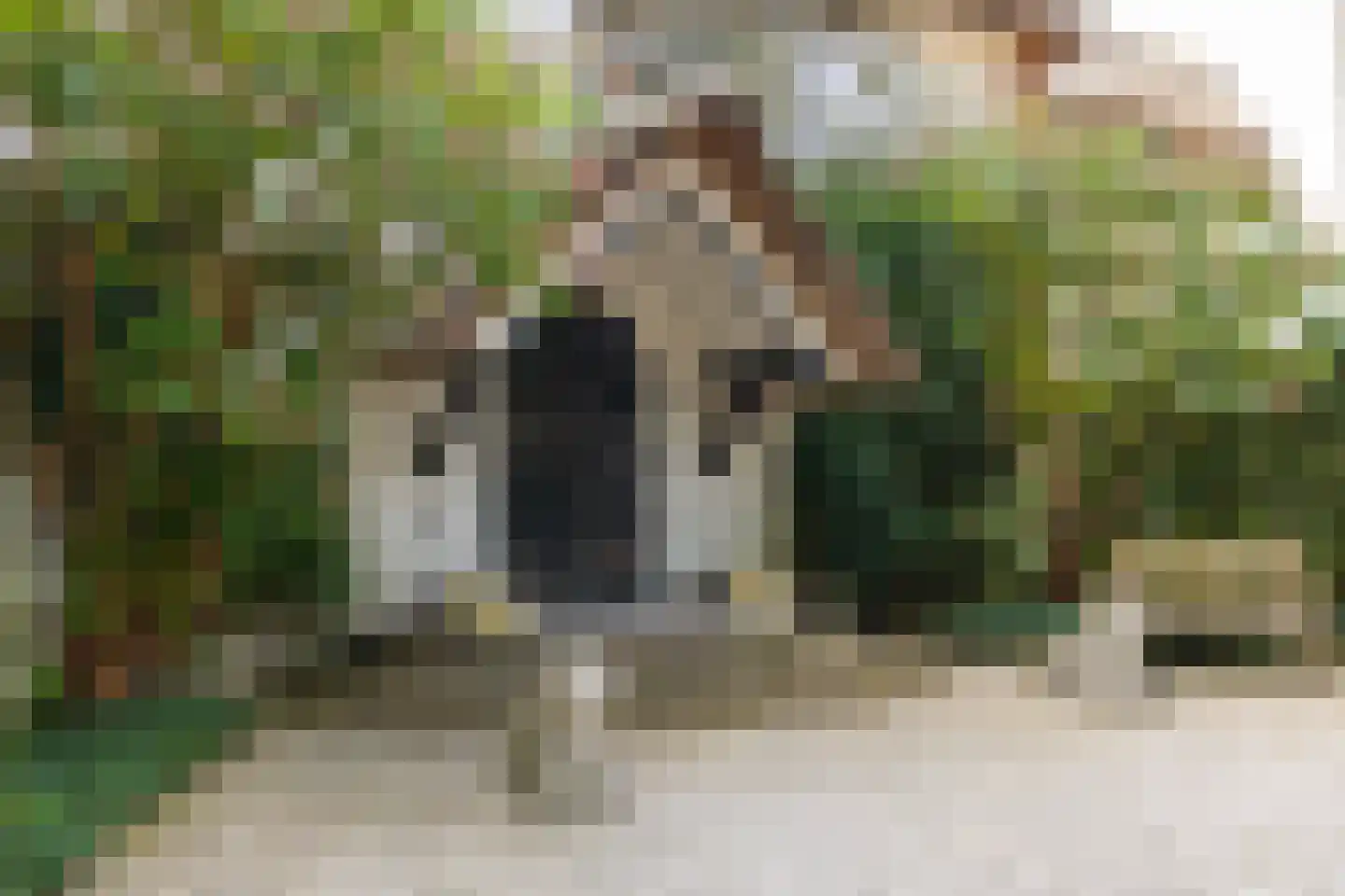 De Hooghlaan 25 Bilthoven thumbnail 5