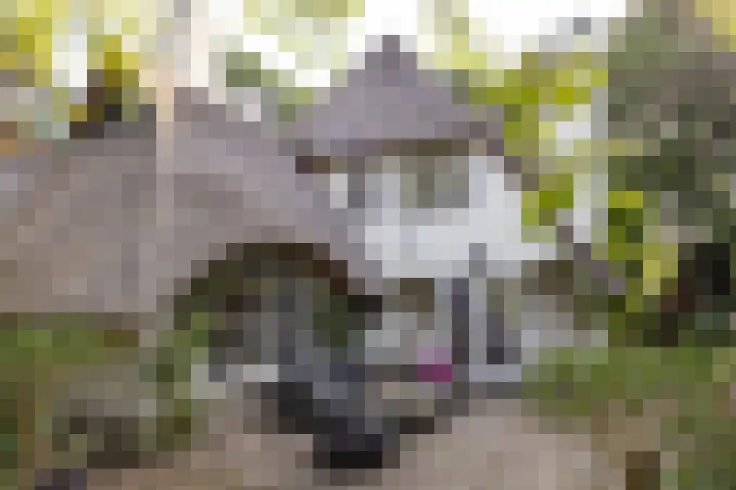 De Hooghlaan 25 Bilthoven thumbnail 52