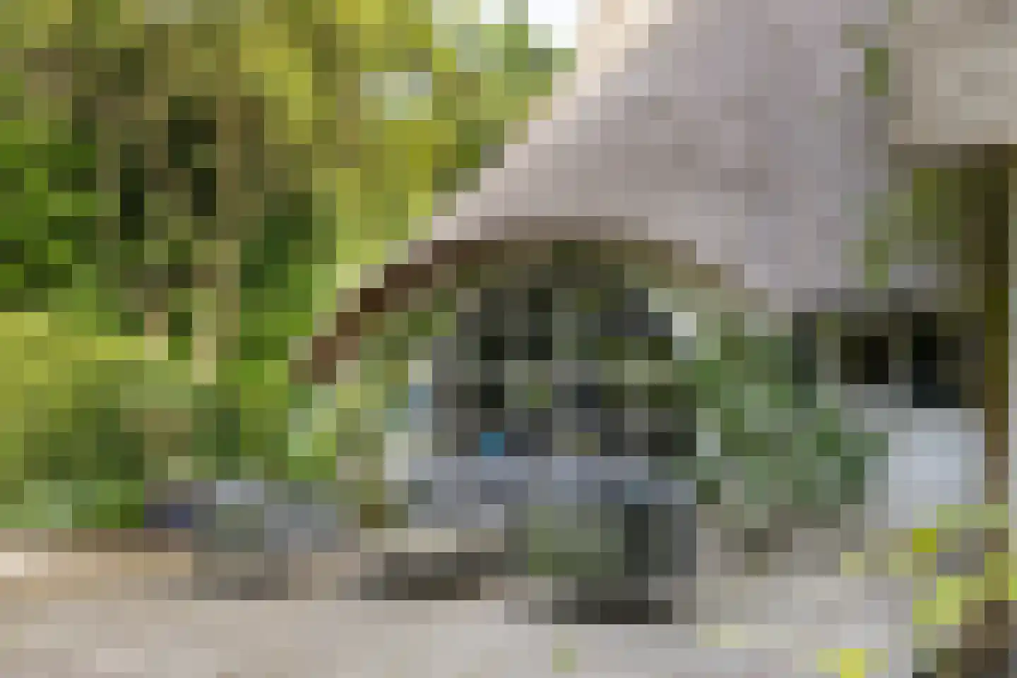 De Hooghlaan 25 Bilthoven thumbnail 53