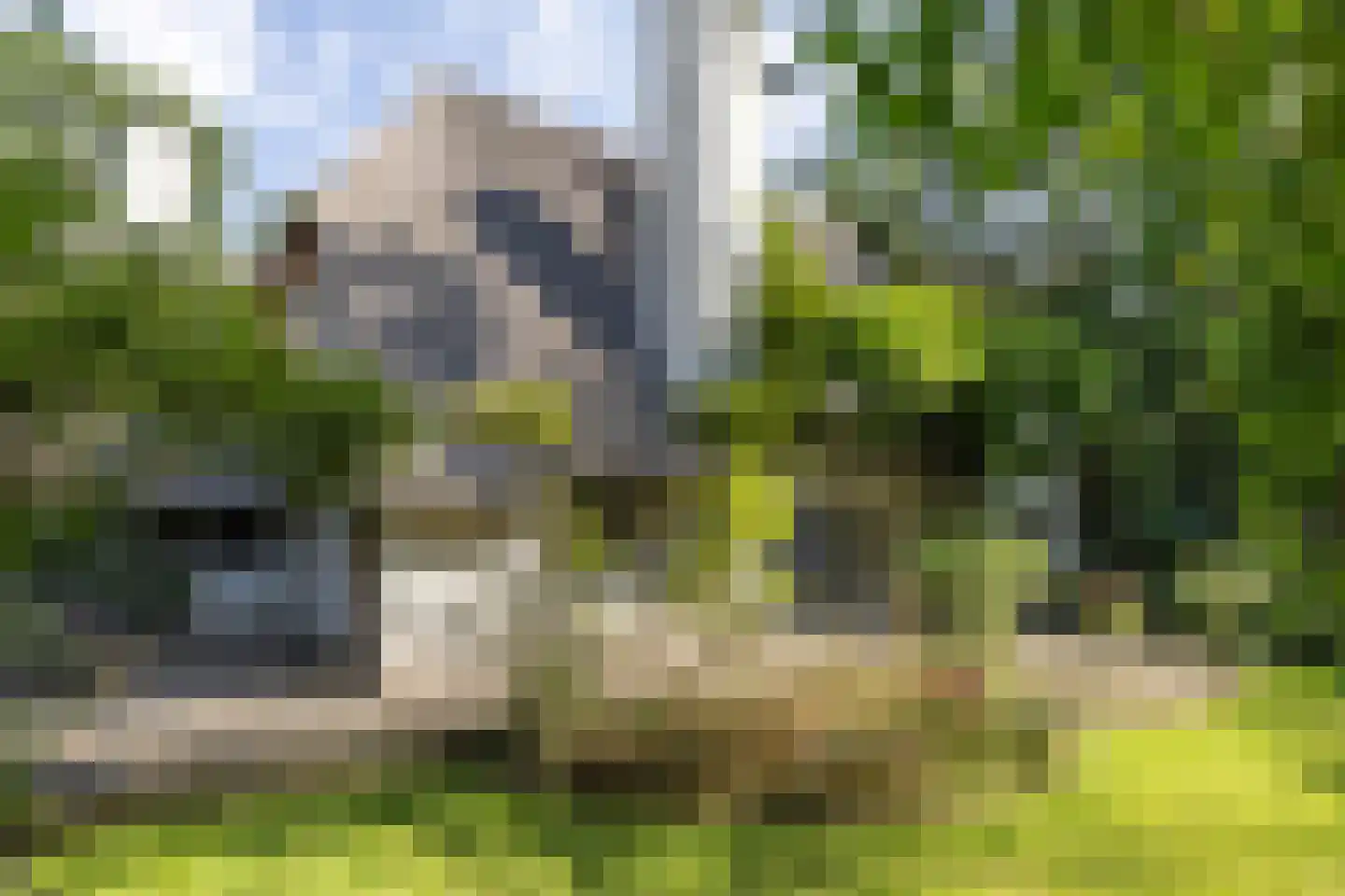 De Hooghlaan 25 Bilthoven thumbnail 54